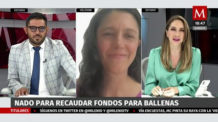Nadadora recaudará 500 mil pesos para la conservación de la ballena jorobada
