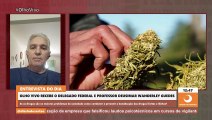 Delegado alerta que descriminalização do porte de maconha para uso pessoal aumenta consumo de drogas