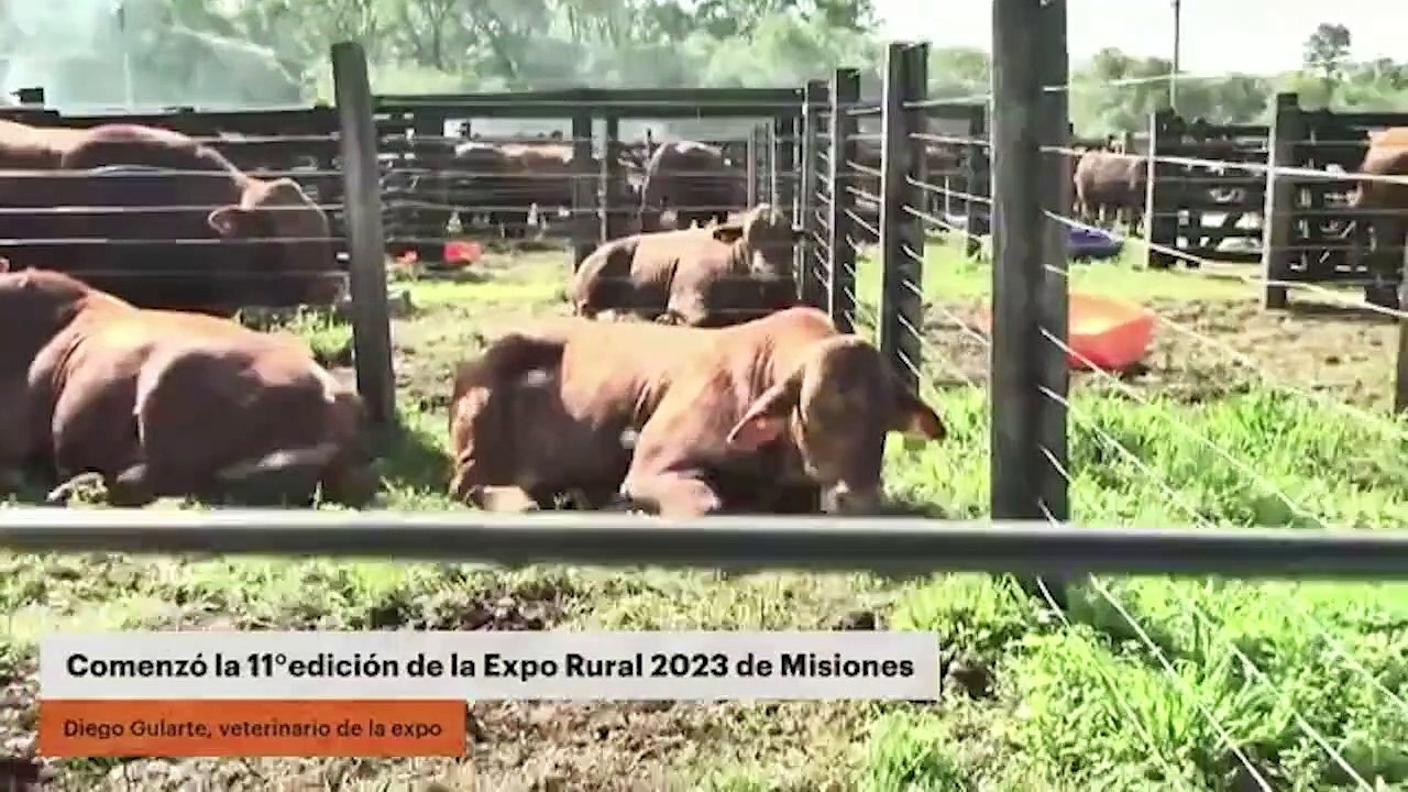Comenzó la 11°edición de la Expo Rural 2023 de Misiones - Vídeo Dailymotion