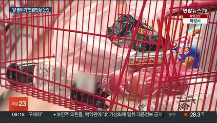 값 못 올리니 양 줄인다?…번지는 슈링크플레이션