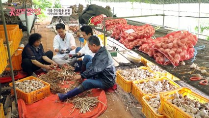 ★1일 꽃길 진료소 OPEN★ 관절을 건강하게 관리하는 팁은?