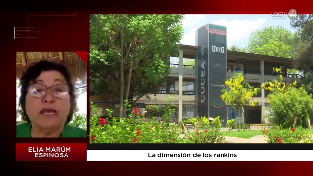 Dimensión de los rankins: Elia Marúm Espinosa