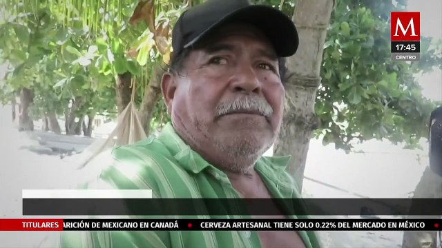 En Veracruz, registran primeras muertes de especies marinas por contaminación de hidrocarburos