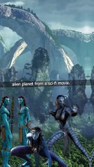 Socotra - Yemen's Island of Wonder