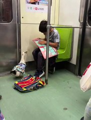 "La mejor compañía": Niño enternece las redes al viajar en tren junto a su pato