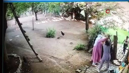 74 yaşındaki kadına taş ve sopalarla saldırdılar