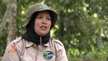 كتيبة نسائية لحراسة الغابات في إقليم آتشه الإندونيسي