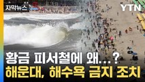 [자막뉴스] 황금 피서철인데...해운대, 해수욕 금지 조치 / YTN
