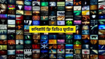 How to Download stock video without watermark 2023