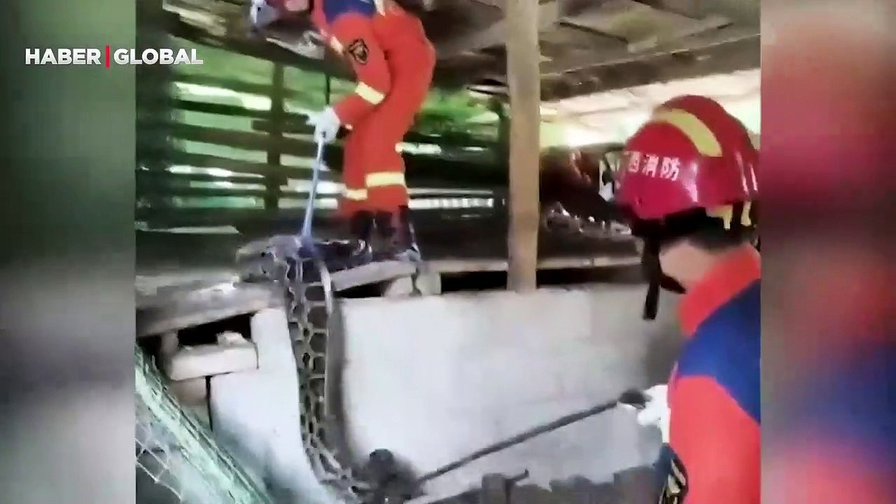 Yakalanınca strese giren dev piton yediği bütün tavukları çıkardı!