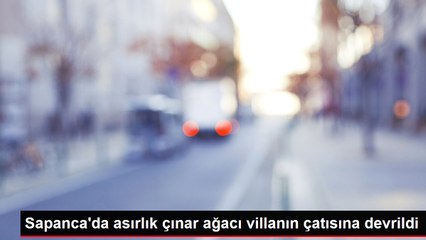Sapanca'da asırlık çınar ağacı villanın çatısına devrildi