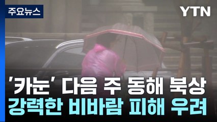 [날씨] 태풍 '카눈' 다음 주 동해 북상...동해안 비 피해 우려 / YTN