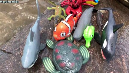 "Adventures of Sea Animal Toys at the Seashore - Fun and Educational Video!"