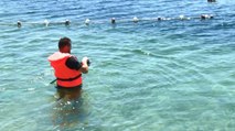 İstanbul’da plajlar temiz mi? Sonuçlar belli oldu