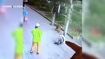 Şoke eden an: Yolda yürüyen adamın kafasına kedi düştü! Görüntüler viral oldu