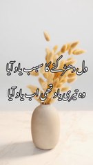 Dil Dharakny ka sabab yad aaya/bazm eadab