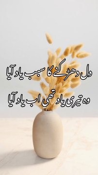 Dil Dharakny ka sabab yad aaya/bazm eadab