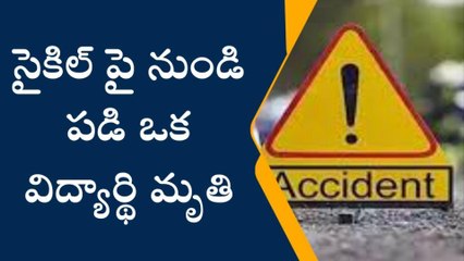 పల్నాడు జిల్లా: సైకిల్ పైనుండి పడి విద్యార్థి మృతి