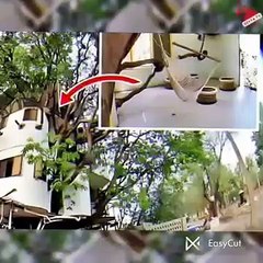 Tree House in Udaipur, Rajasthan ( India)