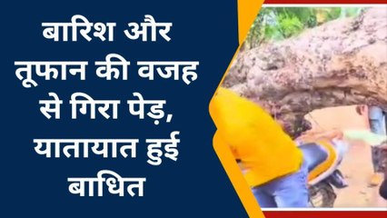 ललितपुर: आंधी तूफान ने क्षेत्र में मचाया तांडव,पेड़ गिरने से आवागवन हुआ बाधित