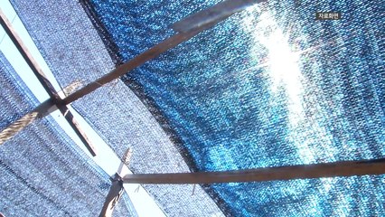 질병청, 온열 질환 사망자 20명...지난해의 3배 이상 / YTN