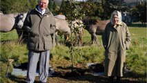 King Charles makes major decision over Queen Elizabeth’s first death anniversary