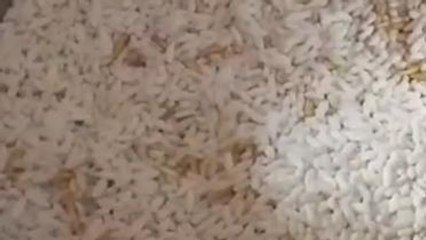 हरदा: बच्चों को नहीं मिल रहा मध्यान भोजन, कर रहे हैं परमल का नाश्ता