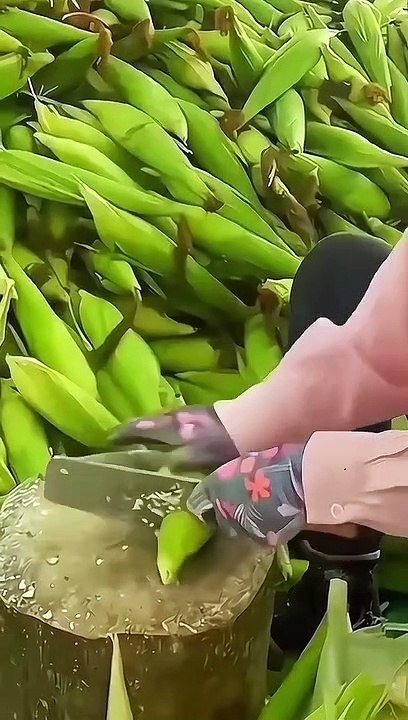 Purple corn