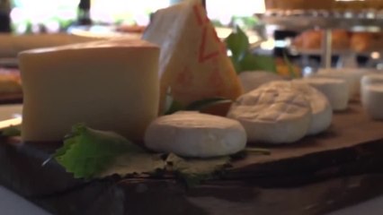 Cucina italiana punta all'Unesco, svelato logo a Pompei