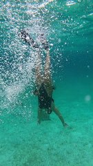 Turtle Teaches Tourists About Nature