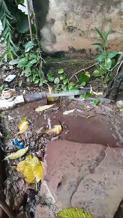 रतनपुर में कभी भी फैल सकती है जलजनित बीमारी, टंकियों की 1वर्ष से सफाई नहीं