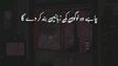 Insan ko Khud Maloom Hota Hai | Urdu Status Islamic Whatsapp Status