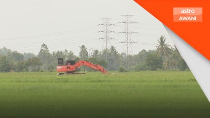 Kerajaan belum serius selesai isu petani - PeSAWAH