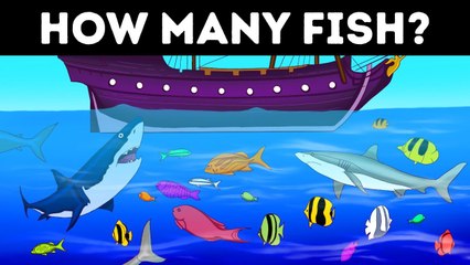 I Took Hours Solving This Riddle, Can You Do It Faster
