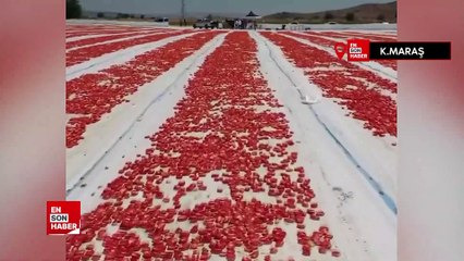 Kahramanmaraş'tan kurutulmuş domates ihracatı görsel şölen sundu