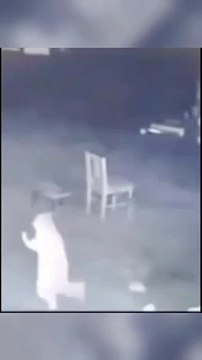 The Super Cat Is Dancing On The Street Road