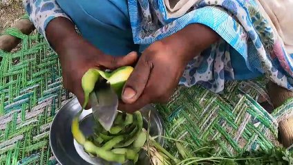 Forest Tribe Lifestyle Living in The Biggest Forest Village in Pakistan - Forest Village Life