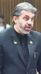 Ali Muhammad Khan Reacts | Imran Khan Arrest