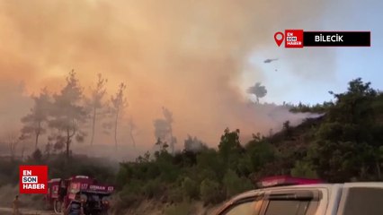Bilecik'te çıkan orman yangını kontrol altına alındı