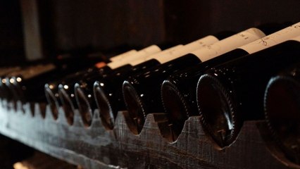 “Cuando un vino no está bueno, él te lo dice con su olor”: Michelle Morales, sommelier profesional respecto a Expovinos 2023