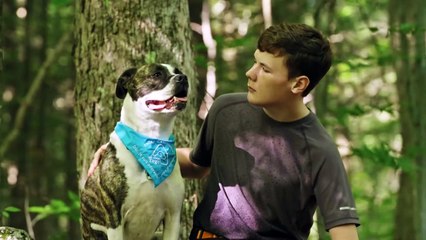 Ces animaux qui nous veulent du bien | show | 2021 | Official Trailer