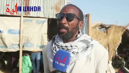 Tchad : le mouton hors de prix à l'approche de l'Aïd El-Fitr. Les commerçants s'expriment