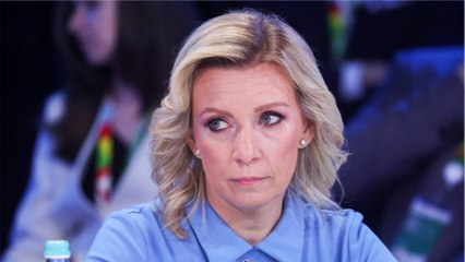 Kremlin official tells Brits to 'cooperate with the Russian secret services' in bizarre speech (1)