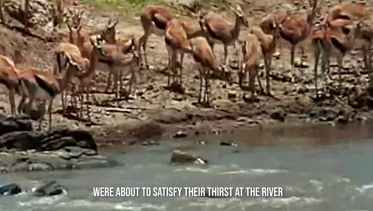 1 Second is Enough To Kill The Prey