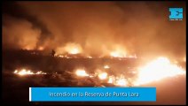 Incendio afecta varias hectáreas de la Reserva de Punta