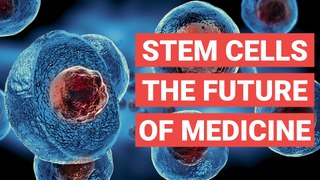 Stem Cells: The Future of Medicine?