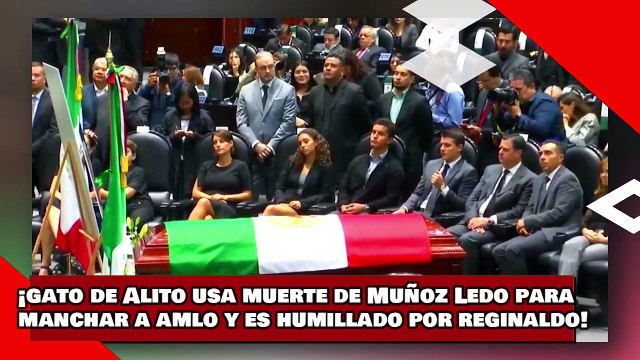 VEAN! ¡gato de Alito usa muerte de Muñoz Ledo para manchar a AMLO pero es humillado por Reginaldo!