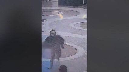 잇단 무차별 흉기 난동...경찰 '특별치안활동' 선포 / YTN