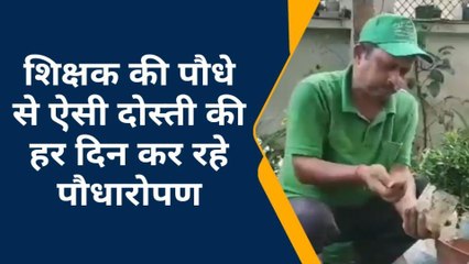 फ्रेंडशिप-डे स्पेशल: शिक्षक की पौधों से है अनोखी दोस्ती, 2015 से लगातार करें पौधारोपण