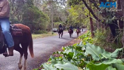 WATCH: Mount Kembla pit pony memorial ride